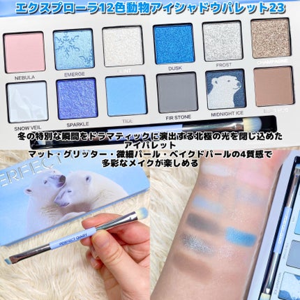 エクスプローラ12色 動物アイシャドウパレット/PERFECT DIARY/アイシャドウパレットを使ったクチコミ(3枚目)