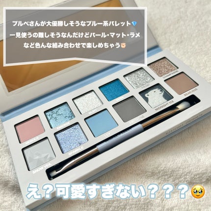 エクスプローラ12色 動物アイシャドウパレット/PERFECT DIARY/アイシャドウパレットを使ったクチコミ(3枚目)