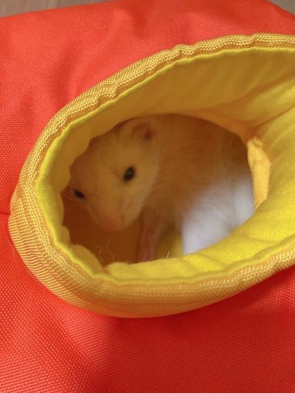 ゆぽぽㄘゃん(フォロバ100) on LIPS 「\2026年もどうぞ宜しくお願い致します!/スキンケアを昨年よ..」(6枚目)