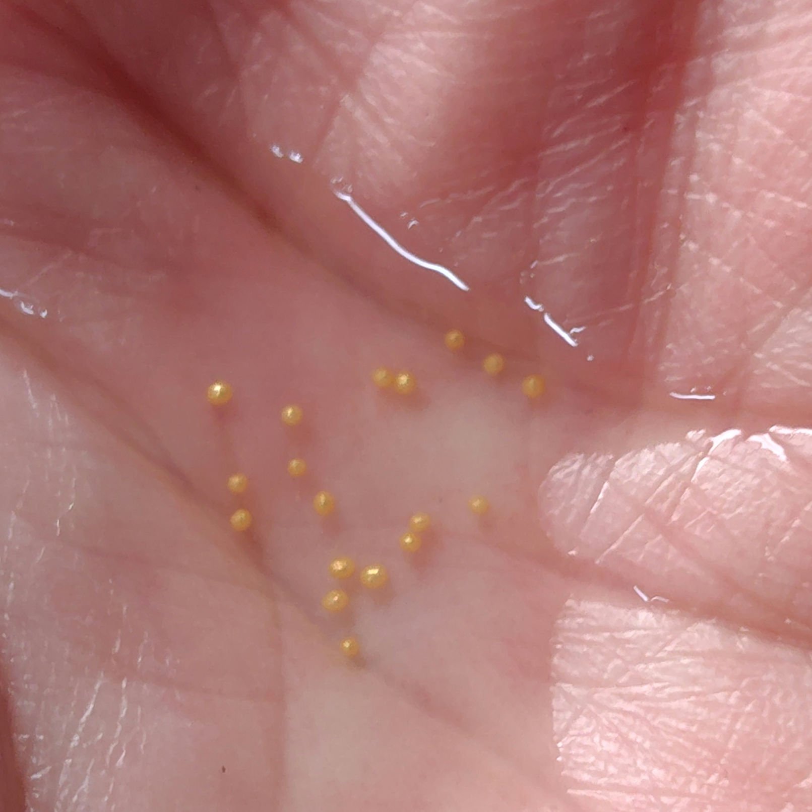 GUERLAIN アベイユ ロイヤル ウォータリー オイル セロムのクチコミ「年の瀬に２０２５年購入品を振り返るコーナー🐍

ビジュいいじゃん✨️ってやつです🥰

今まで使.....」（2枚目）