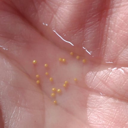 アベイユ ロイヤル ウォータリー オイル セロム/GUERLAIN/美容液を使ったクチコミ(2枚目)