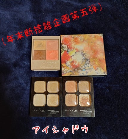 シルキースフレアイズ(マットタイプ)/キャンメイク/アイシャドウパレットを使ったクチコミ(1枚目)