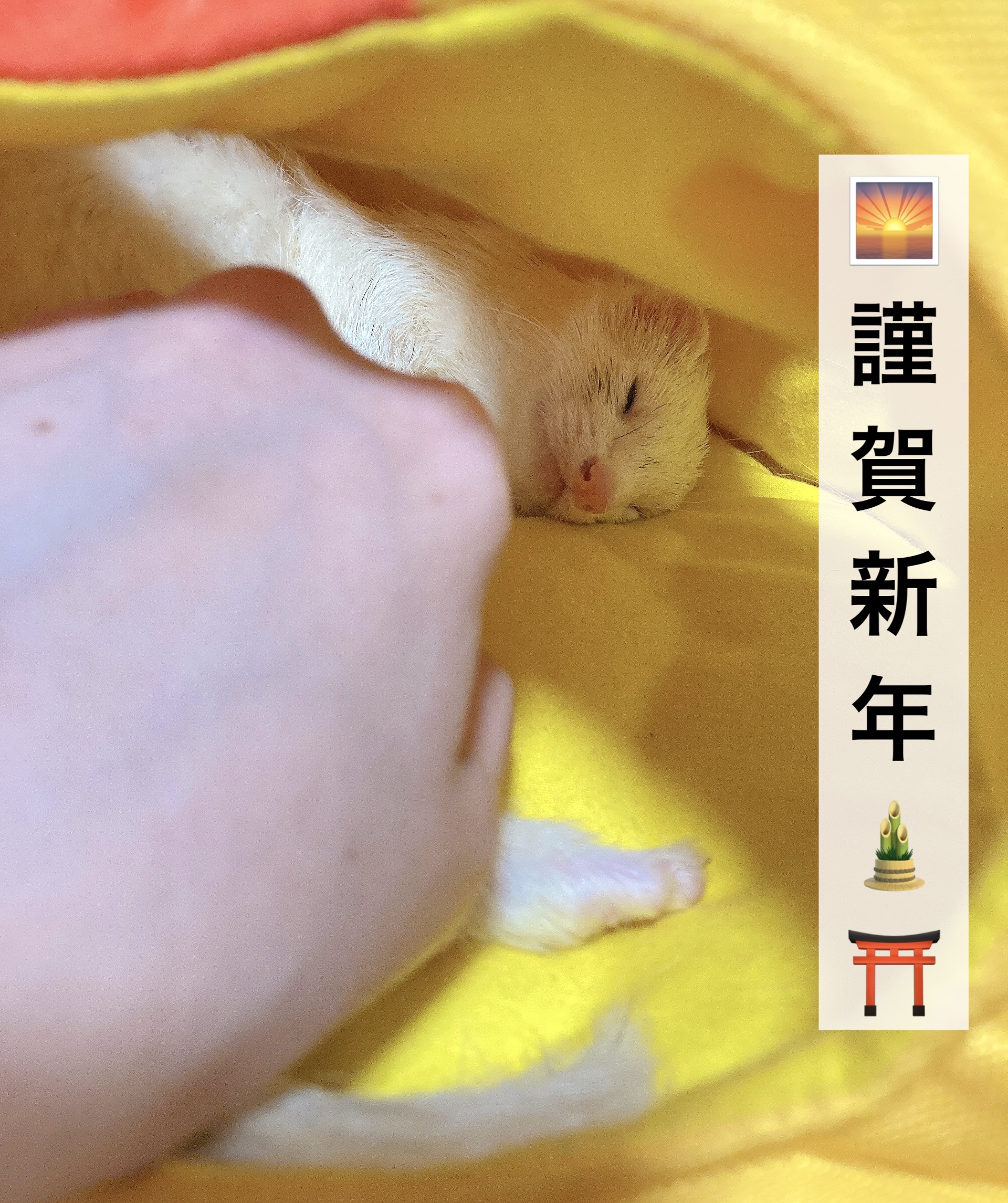 ＼2026年もどうぞ宜しくお願い致します！／

スキンケアを昨年よりも頑張って、
今年は、うるおうハリのあるお肌を
目指したいです！

