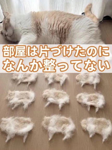 アネトス バランシング トリートメントクリーム/Anetos/フェイスクリームを使ったクチコミ(1枚目)