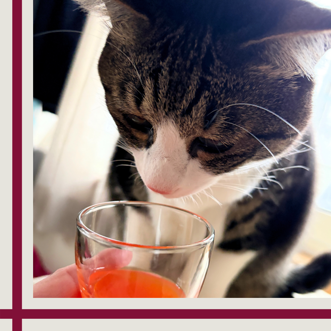 ã¶ã»ã³ã©ãŒã²ã³ãïŒããªã³ã¯ïŒ /ã¶ã»ã³ã©ãŒã²ã³/çŸå®¹ããªã³ã¯ã䜿ã£ãã¯ãã³ãïŒ5æç®ïŒ