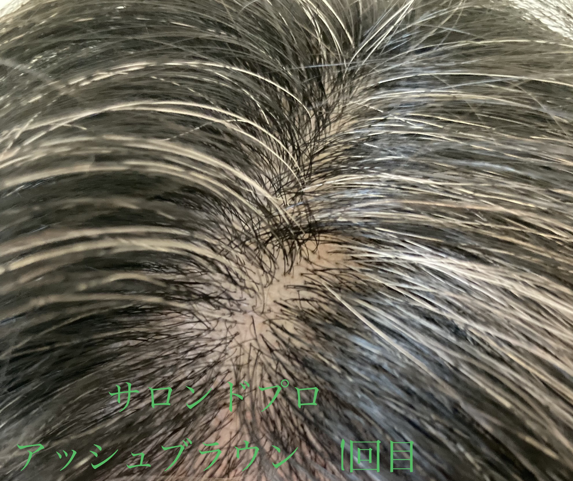 サロンドプロカラートリートメントB/ダリヤ/ヘアカラーを使ったクチコミ（3枚目）