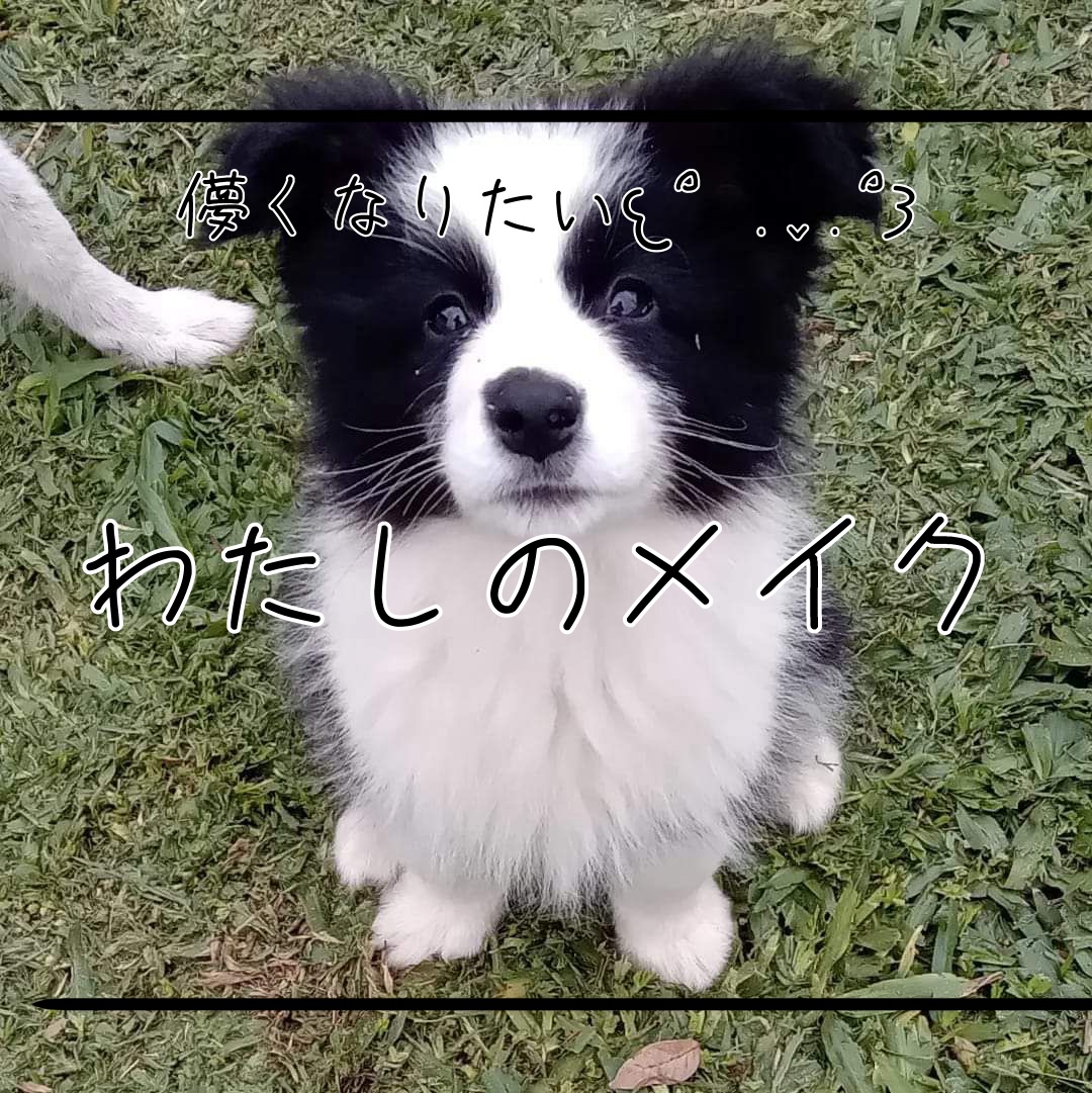 パーフェクトマルチアイズ/キャンメイク/アイシャドウパレットを使ったクチコミ（1枚目）