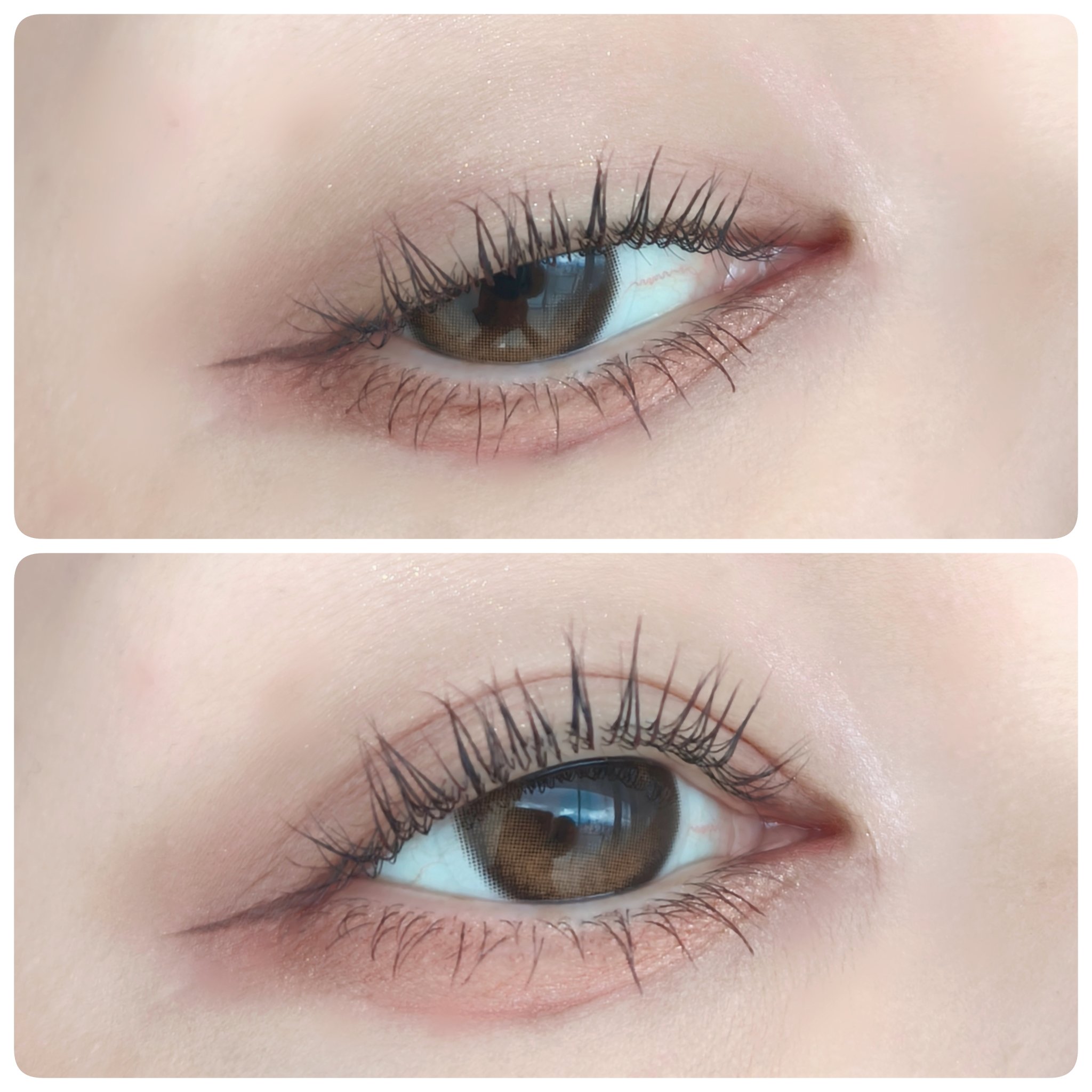 アンドバイロムアンド　メロウアイパレット/&nd by rom&nd/アイシャドウパレットを使ったクチコミ（1枚目）