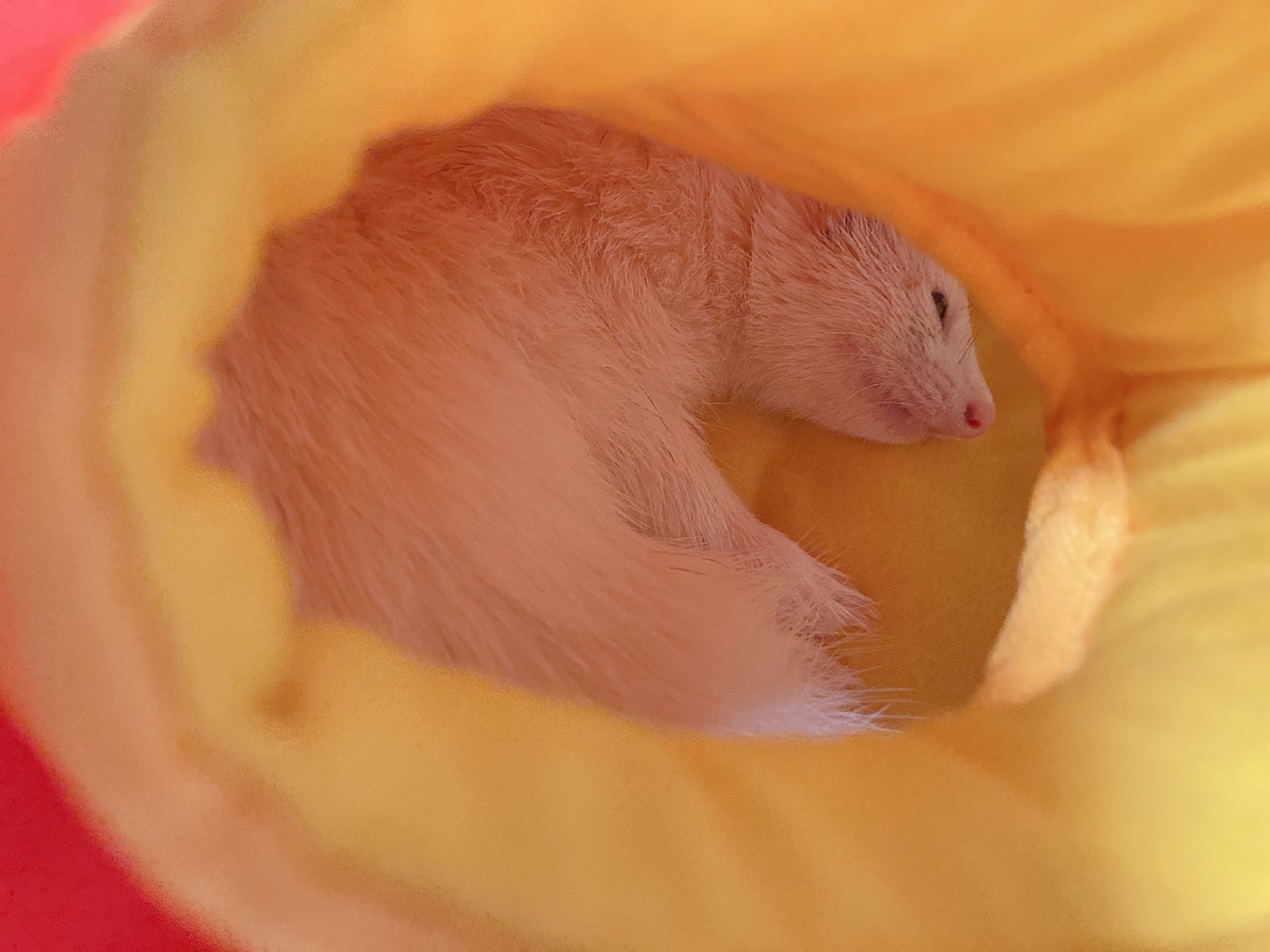 ゆぽぽㄘゃん(フォロバ100) on LIPS 「\2026年もどうぞ宜しくお願い致します!/スキンケアを昨年よ..」(4枚目)