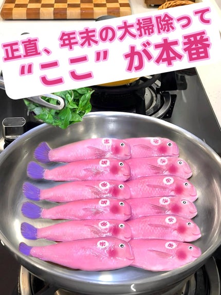 アネトス バランシング トリートメントクリーム/Anetos/フェイスクリームを使ったクチコミ(1枚目)