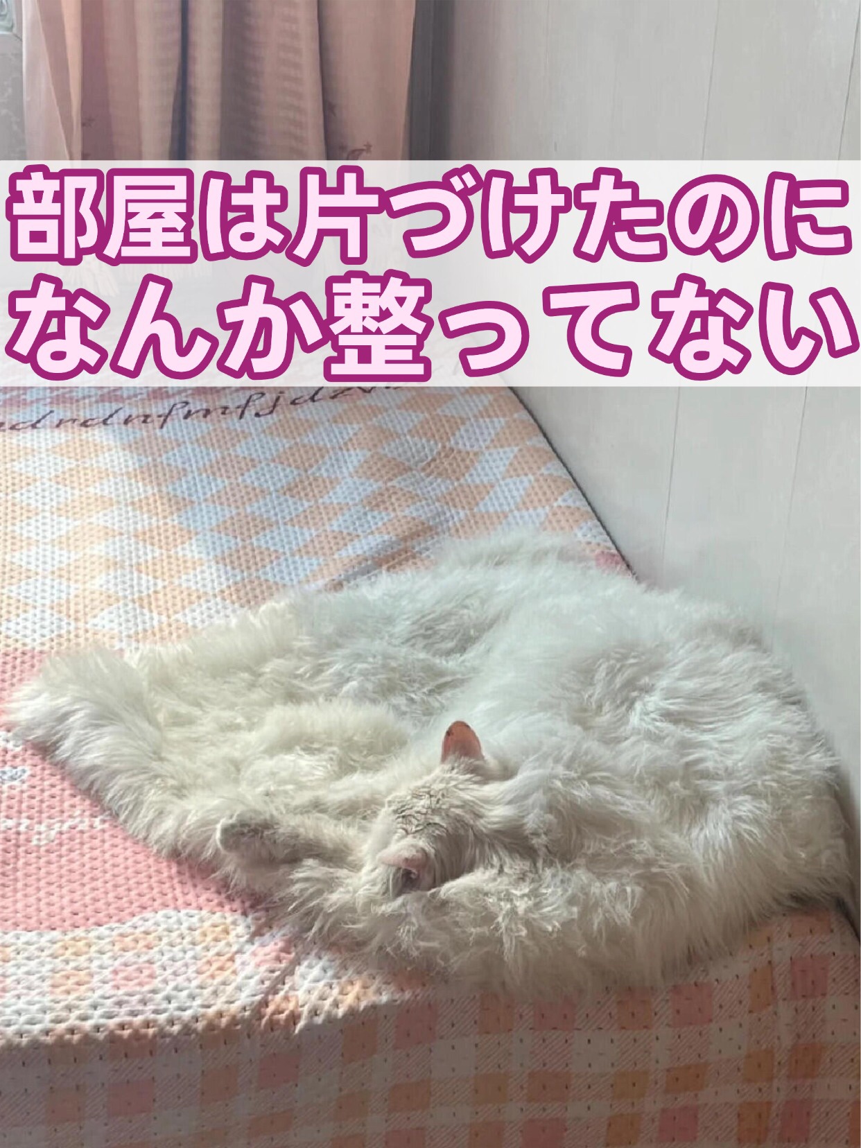 アネトス バランシング トリートメントクリーム/Anetos/フェイスクリームを使ったクチコミ（1枚目）