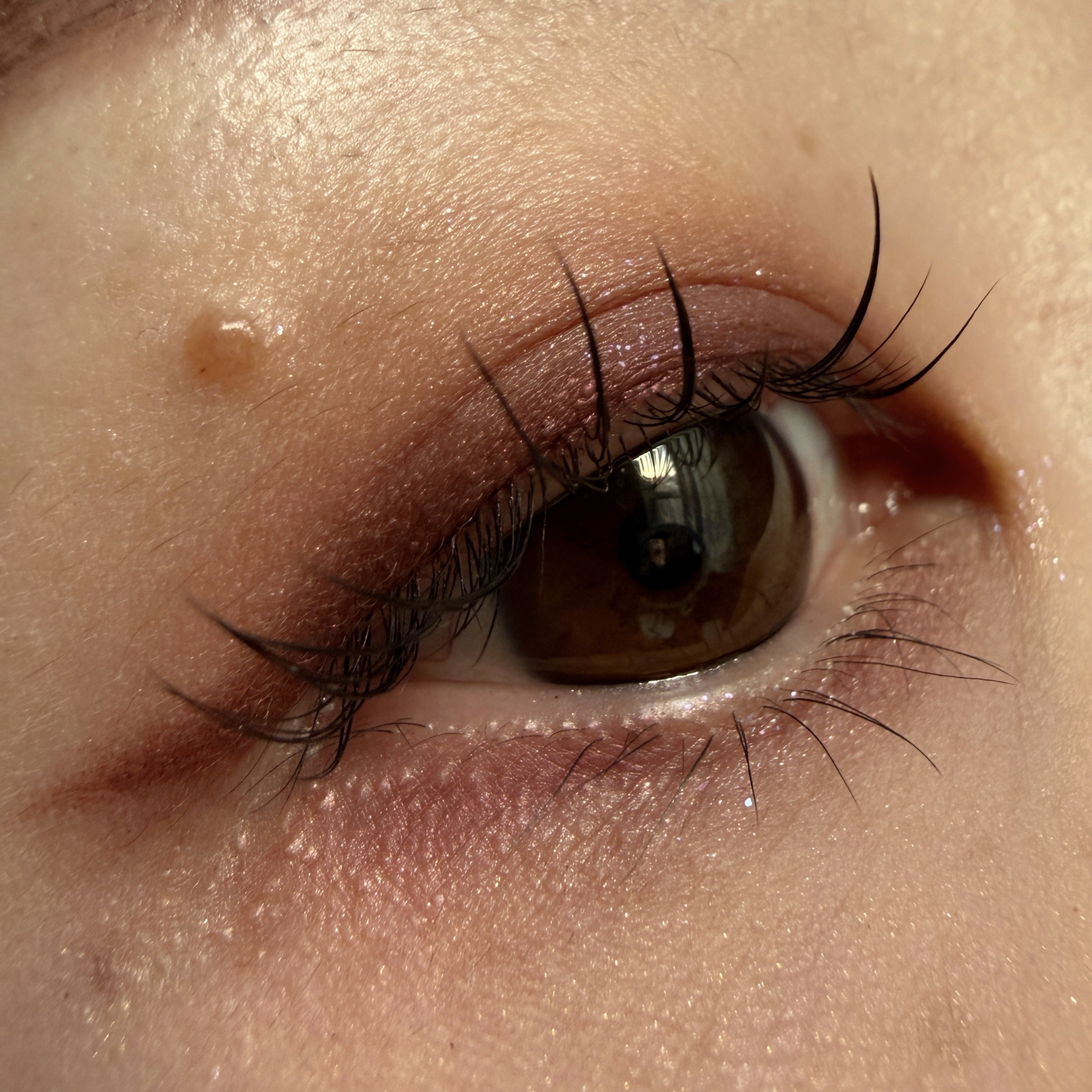 Bloom Collection カスタマイズアイカラー アソート（限定カラー）/マキアージュ/アイシャドウを使ったクチコミ（1枚目）