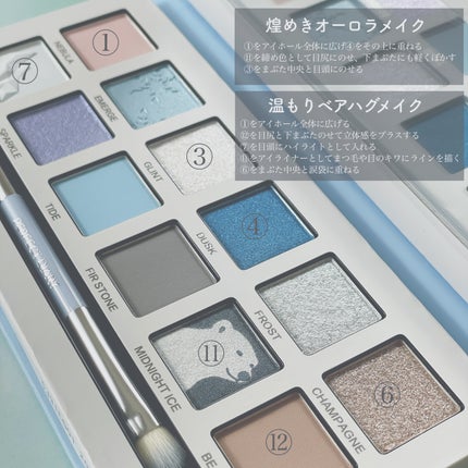 エクスプローラ12色 動物アイシャドウパレット/PERFECT DIARY/アイシャドウパレットを使ったクチコミ(2枚目)