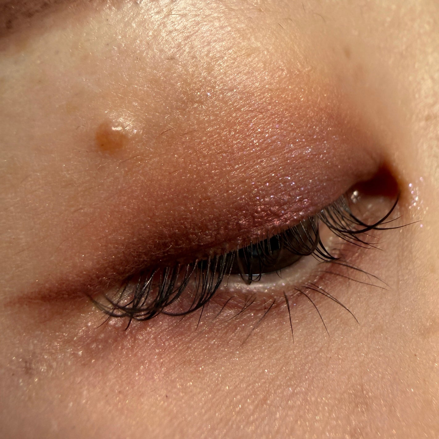 Bloom Collection カスタマイズアイカラー アソート(限定カラー)/マキアージュ/アイシャドウを使ったクチコミ(3枚目)