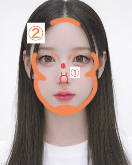 グロウフルールチークス/キャンメイク/パウダーチークを使ったクチコミ(2枚目)