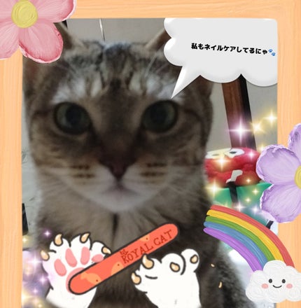 ネイルチップ用シール(20枚×5シート)/セリア/ネイルシールを使ったクチコミ(3枚目)