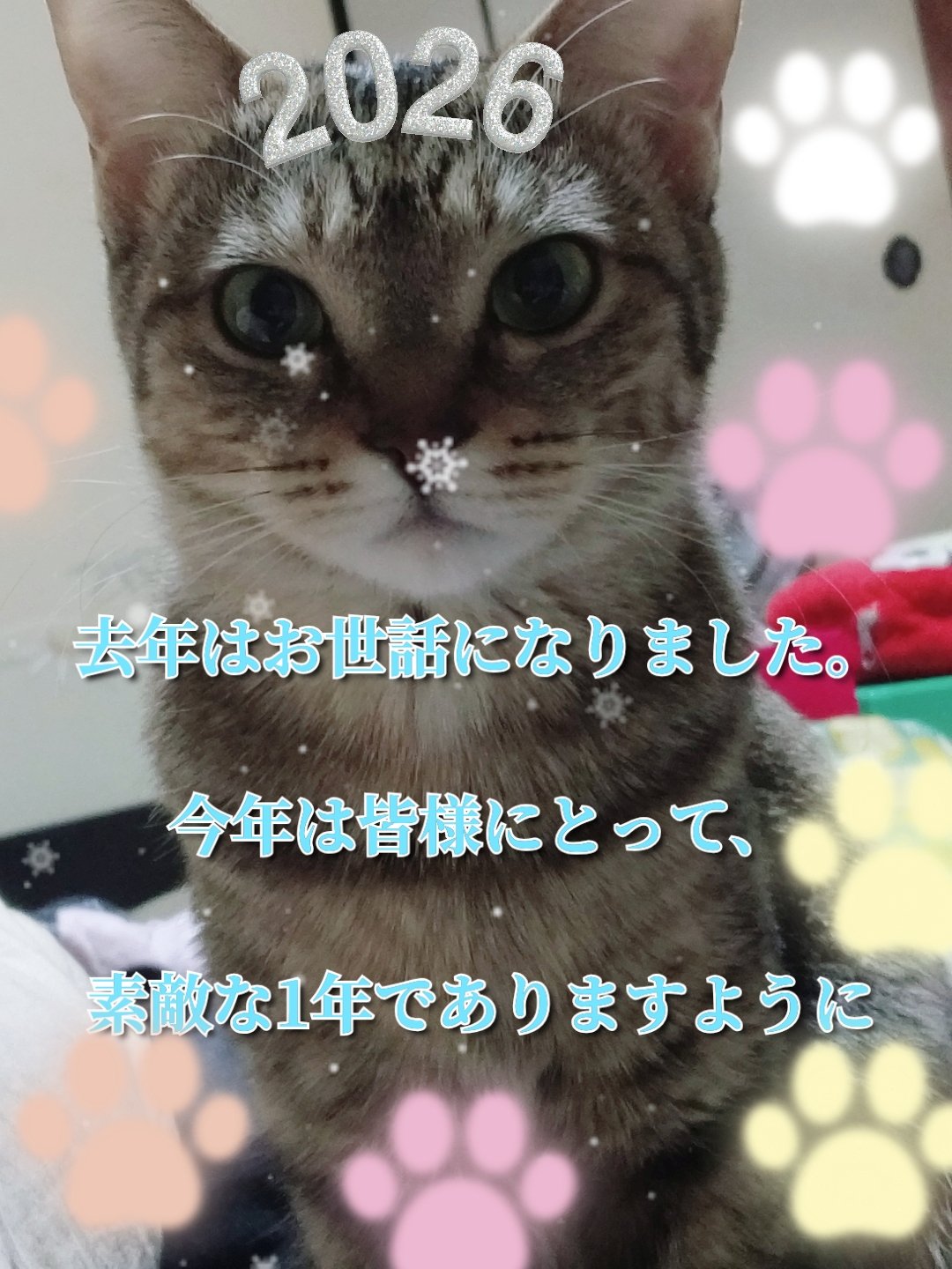 いつも私の投稿を読んでくださる方、いいねを押してくださる方、クリップしてくださる方へ。
本当にありがとうございます。皆さまの反応ひとつひとつが励みになり、これまで続けてくることができました。
私事で恐縮ですが、昨年の夏に最愛の父を亡くしまし