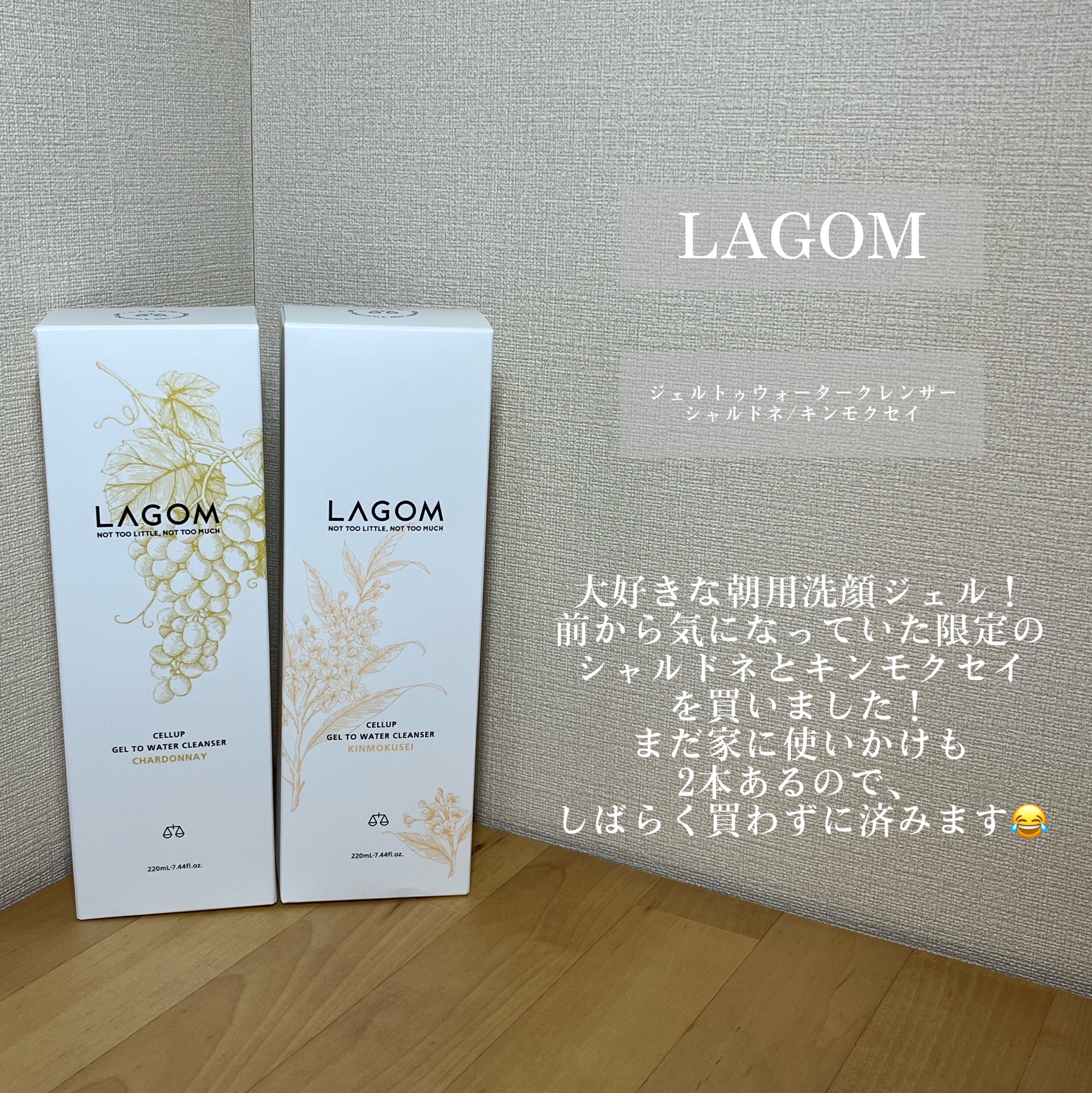 グミサプリ鉄/UHA味覚糖/健康サプリメントを使ったクチコミ（2枚目）