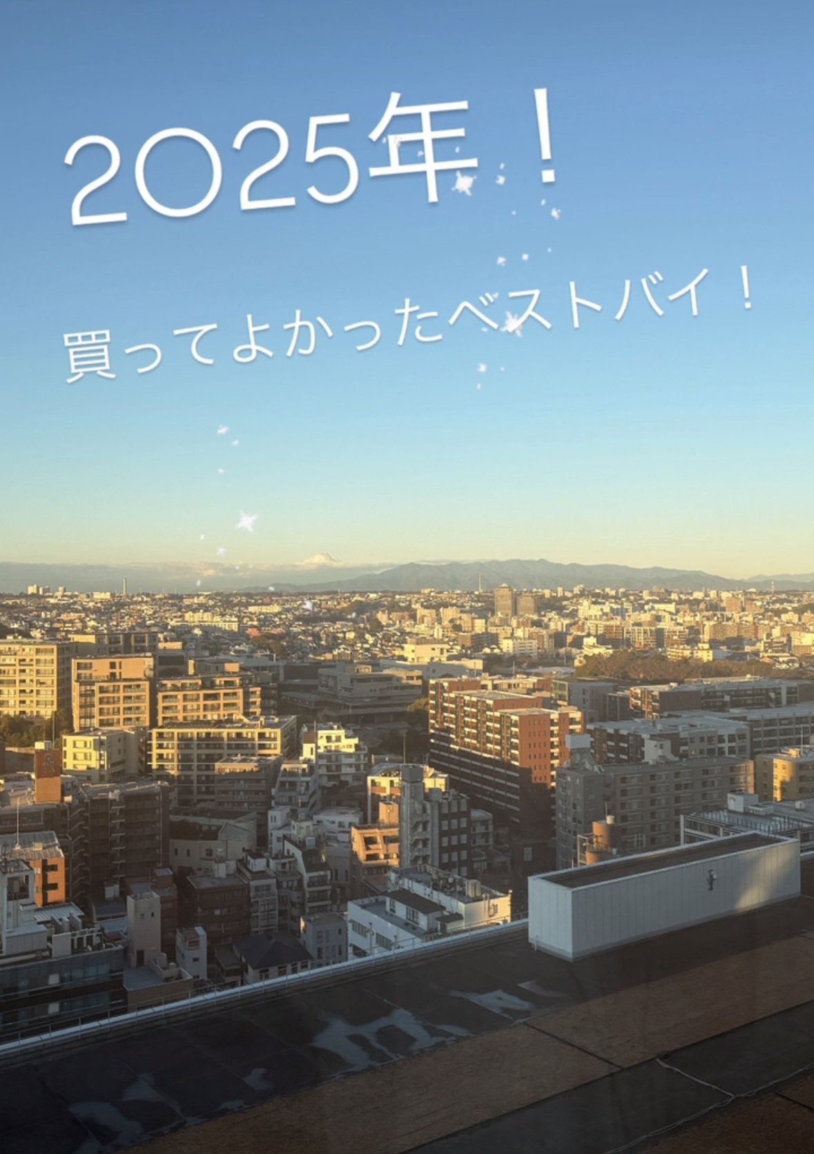 パウダー チーク/ちふれ/パウダーチークを使ったクチコミ（1枚目）