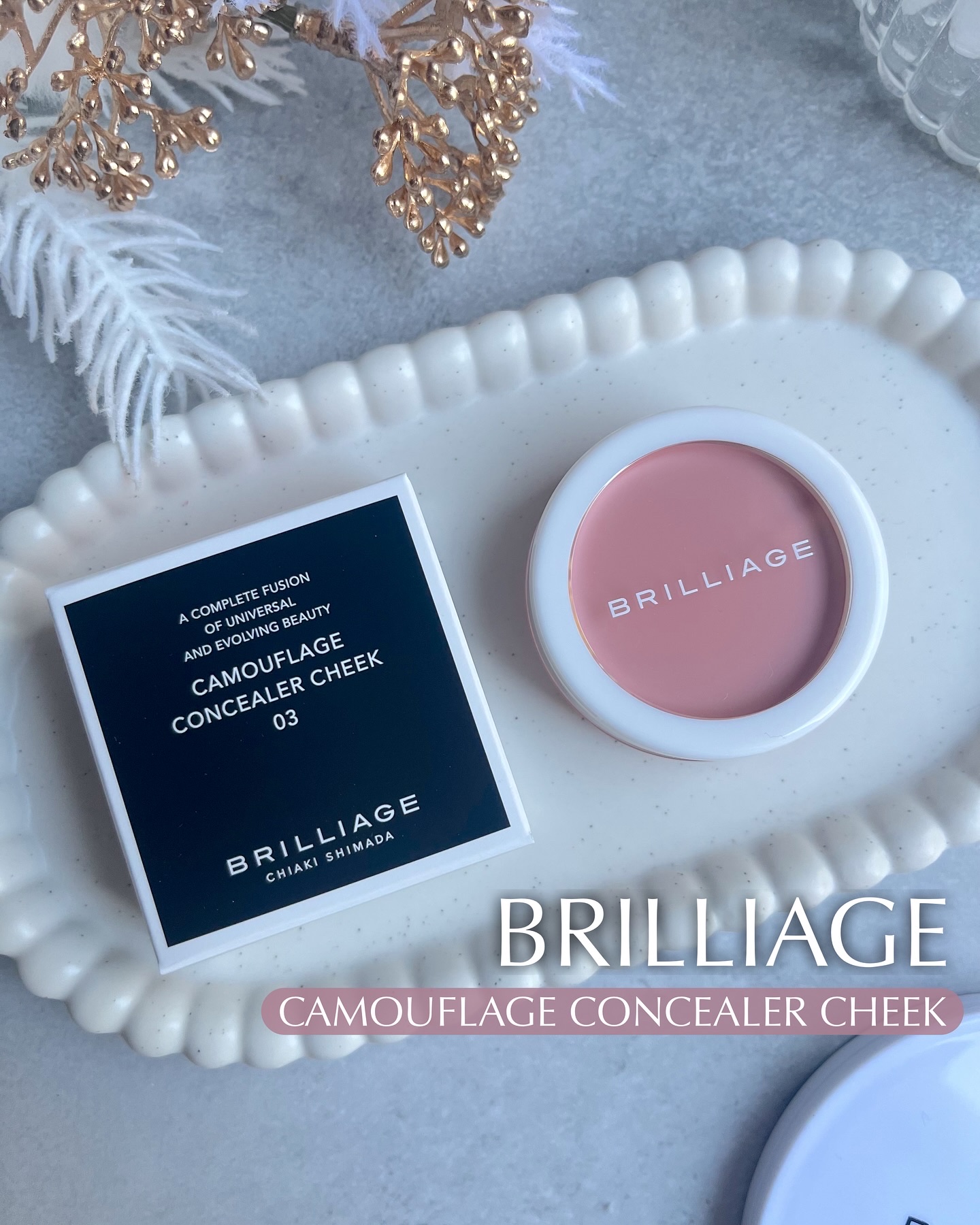 カモフラージュ　コンシーラーチーク/ブリリアージュ/クリームコンシーラーを使ったクチコミ（1枚目）