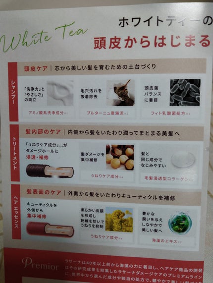 ラサーナ プレミオール ヘア エッセンス ホワイトティーの香り/ラサーナ/ヘアオイルを使ったクチコミ(3枚目)