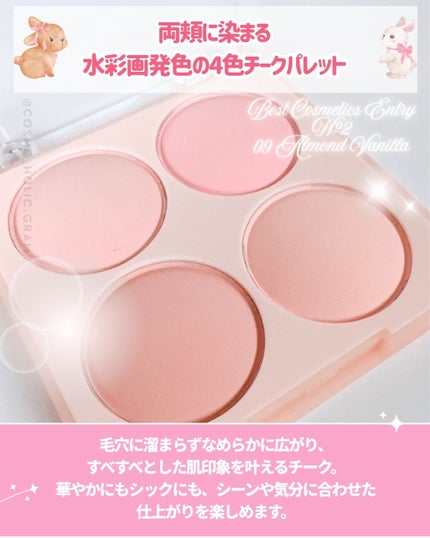 シャドウパレット/dasique/アイシャドウパレットを使ったクチコミ(4枚目)