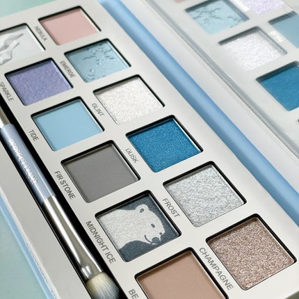 エクスプローラ12色 動物アイシャドウパレット/PERFECT DIARY/アイシャドウパレットを使ったクチコミ(1枚目)