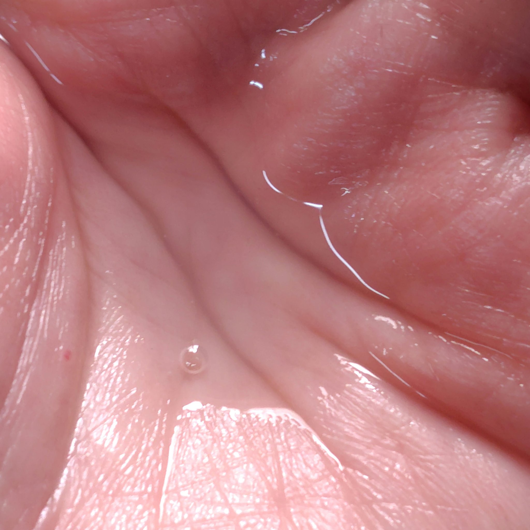 DECORTÉ ユース パワー エッセンス ローションのクチコミ「現品買うか迷い中のローション

ちょっと刺激があるというか、アルコールっぽい香りが

使い始め.....」（3枚目）