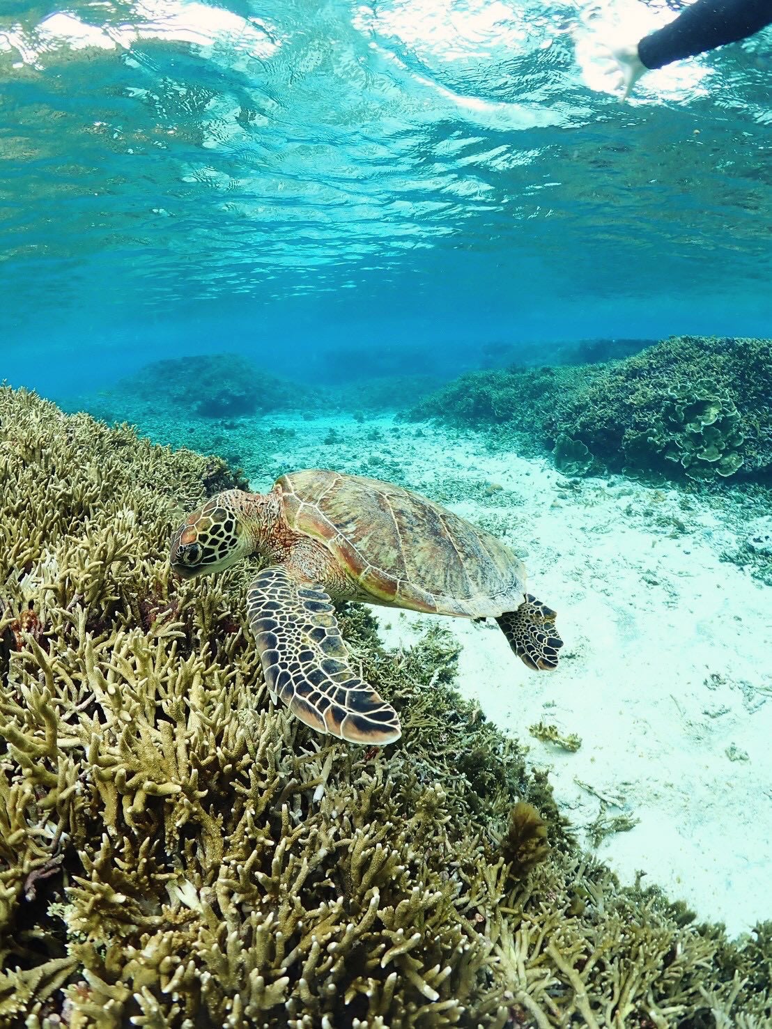 アルティム8∞ スブリム ビューティ クレンジング オイルn/shu uemura/オイルクレンジングを使ったクチコミ(4枚目)