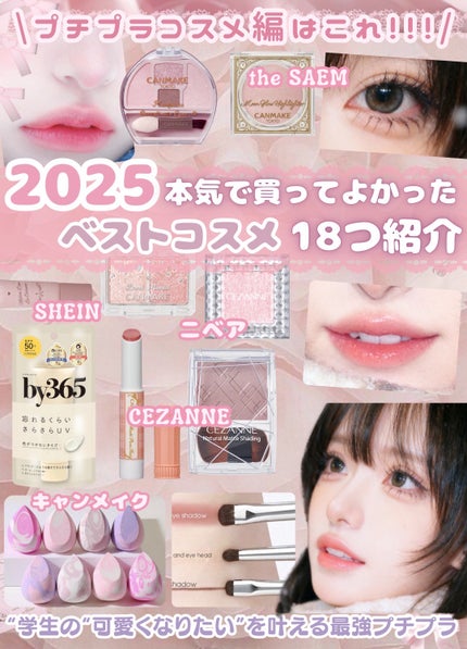 カバーパーフェクション コンシーラー ペンシル/the SAEM/ペンシルコンシーラーを使ったクチコミ(1枚目)