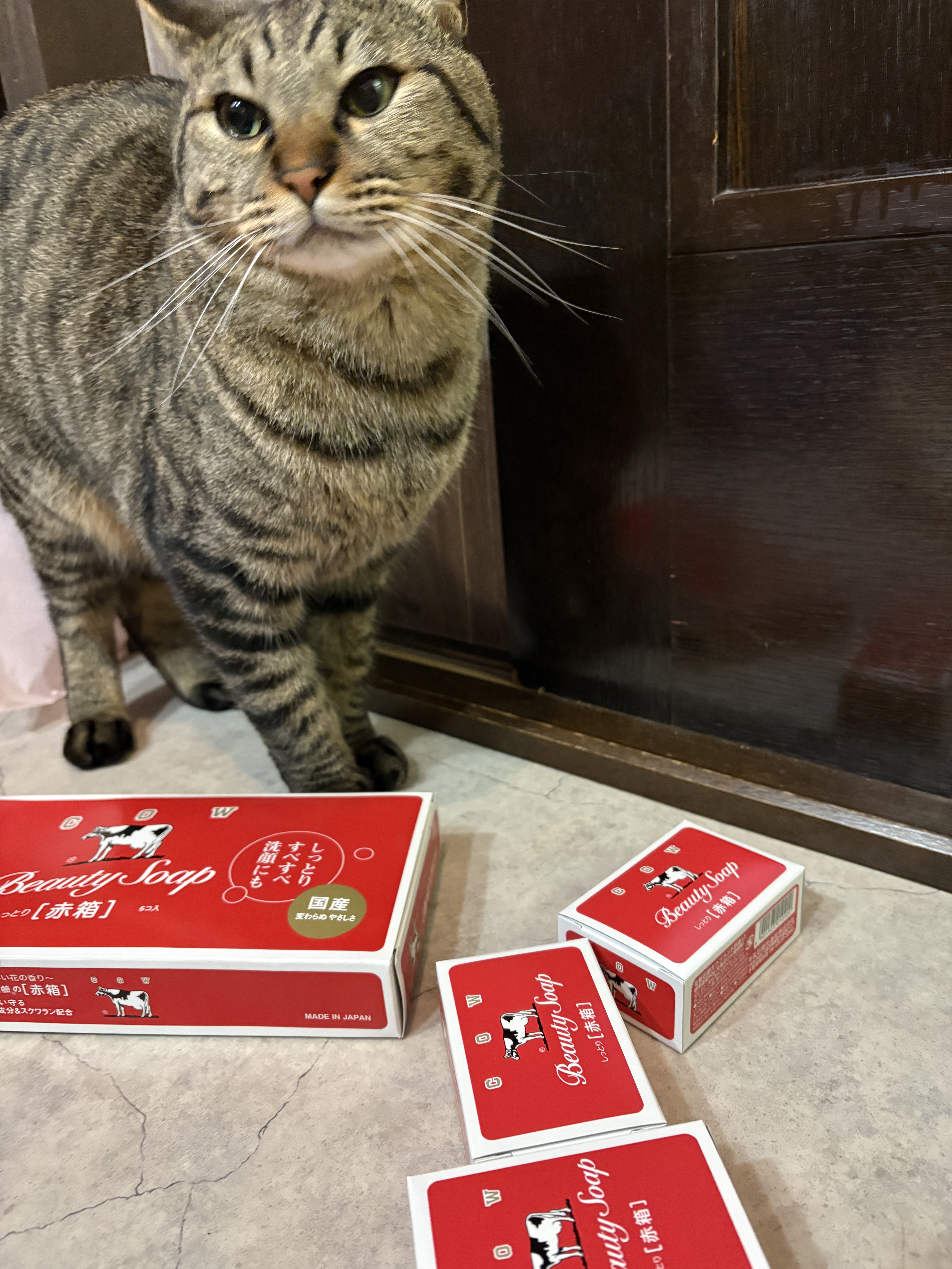 赤箱 (しっとり)/カウブランド/洗顔石鹸を使ったクチコミ（3枚目）