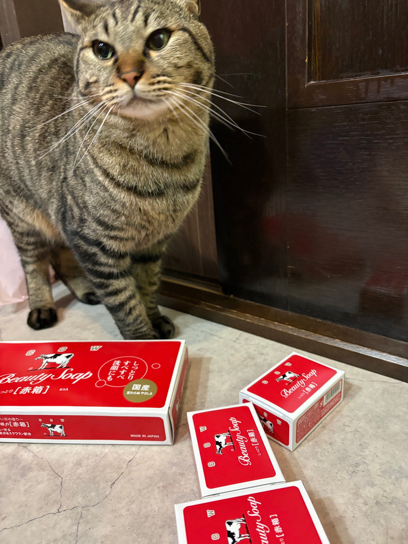 赤箱 (しっとり)/カウブランド/洗顔石鹸を使ったクチコミ(3枚目)