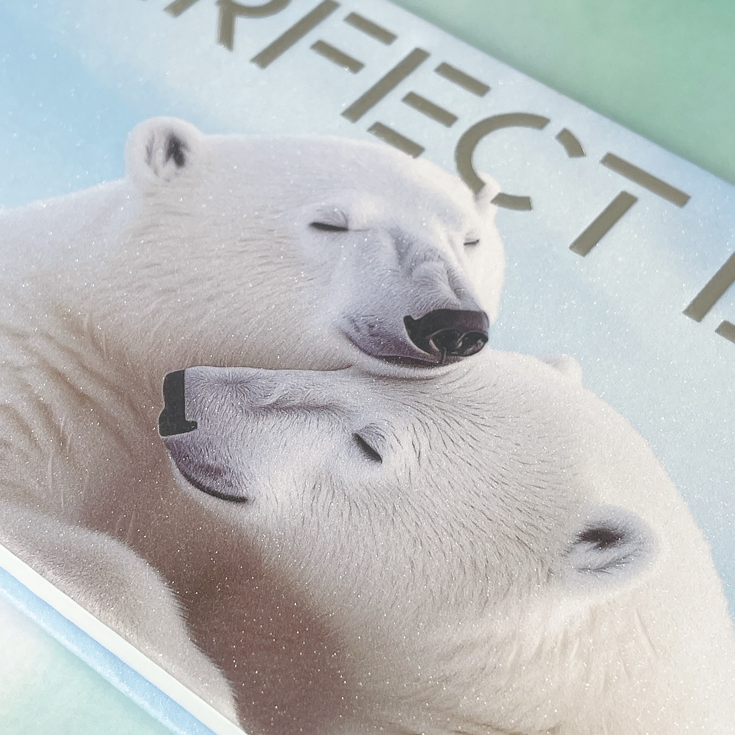 エクスプローラ12色 動物アイシャドウパレット/PERFECT DIARY/アイシャドウパレットを使ったクチコミ（3枚目）