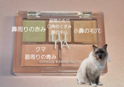 コンシールブレンダーパレット 01 クリアカバー/LUNA/パレットコンシーラーの画像