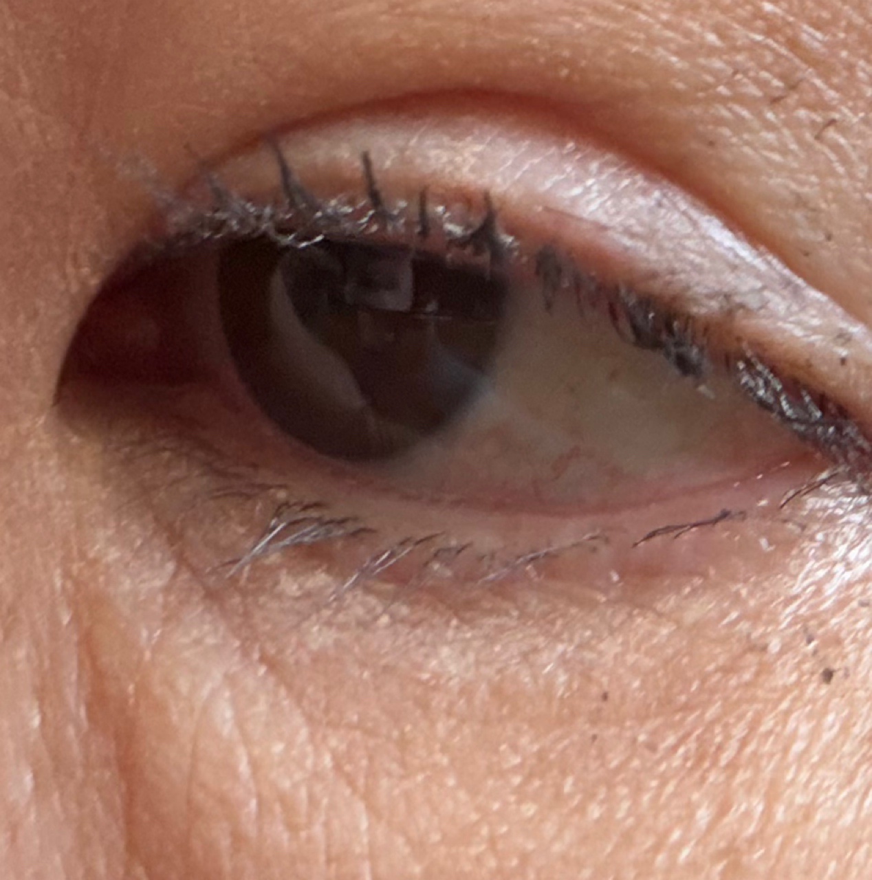 ロングUPマスカラ スーパーWP/ヒロインメイク/マスカラを使ったクチコミ（3枚目）