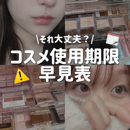 アイシャドウブラシセット/ロージーローザ/メイクブラシを使ったクチコミ(1枚目)