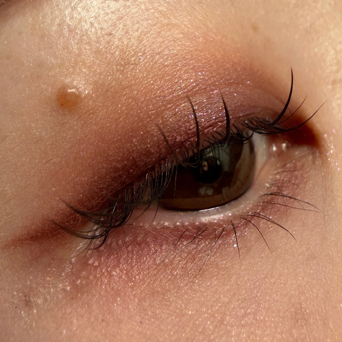 Bloom Collection カスタマイズアイカラー アソート(限定カラー)/マキアージュ/アイシャドウを使ったクチコミ(2枚目)