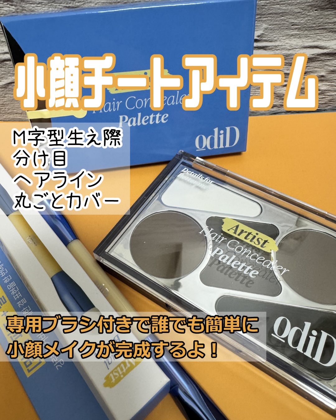  ヘアコンシーラーパレット&アーティスト デュアルブラシ/odiD/その他スタイリングを使ったクチコミ（1枚目）
