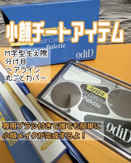 ヘアコンシーラーパレット&アーティスト デュアルブラシ/odiD/その他スタイリングを使ったクチコミ(1枚目)