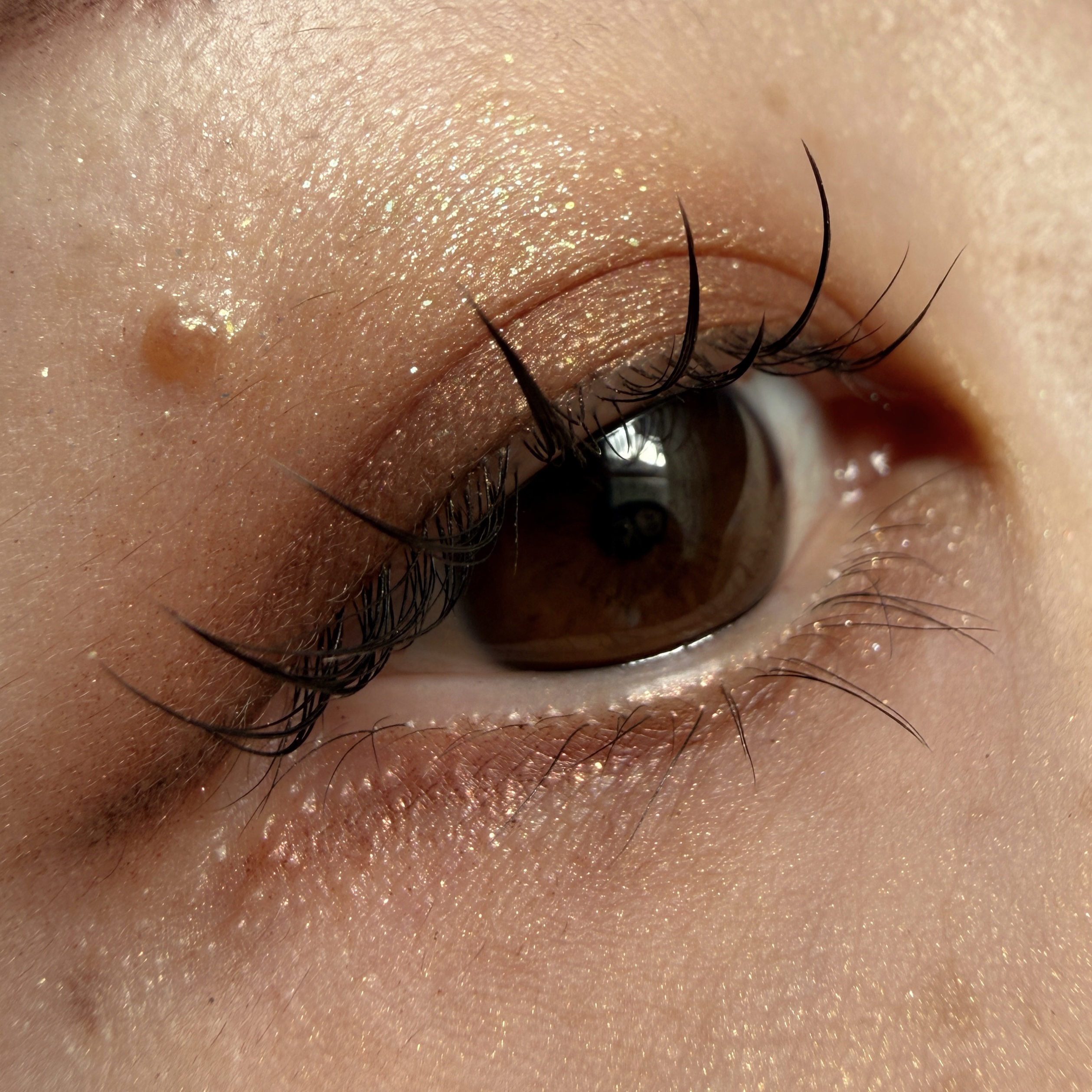 Bloom Collection カスタマイズアイカラー アソート（限定カラー） EX01 キャメルマーブルアソート/マキアージュ/アイシャドウを使ったクチコミ（1枚目）