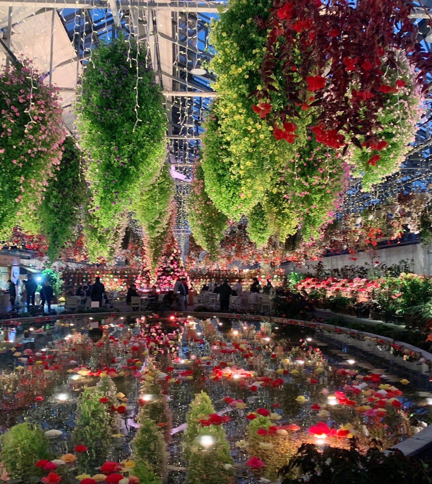 ぽてぃこෆ˚*フォロバ on LIPS 「初めてのなばなの里光のトンネルが有名ですが他にもたくさんあって..」(1枚目)