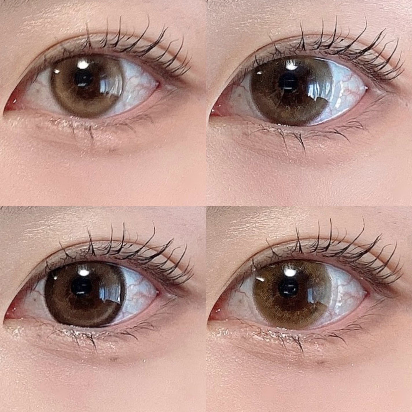 ReVIA 1day/ReVIA/ワンデー(1DAY)カラコンを使ったクチコミ(7枚目)