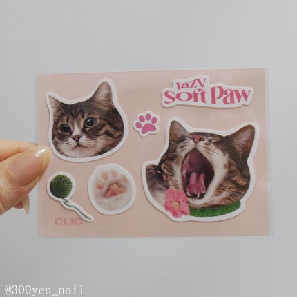 プロ アイ パレット/CLIO/アイシャドウパレットを使ったクチコミ(3枚目)