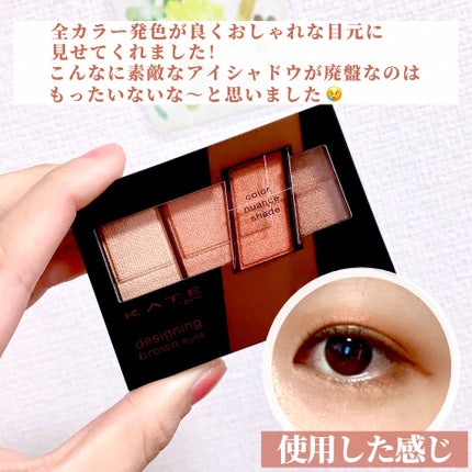 デザイニングブラウンアイズ/KATE/アイシャドウパレットを使ったクチコミ(3枚目)