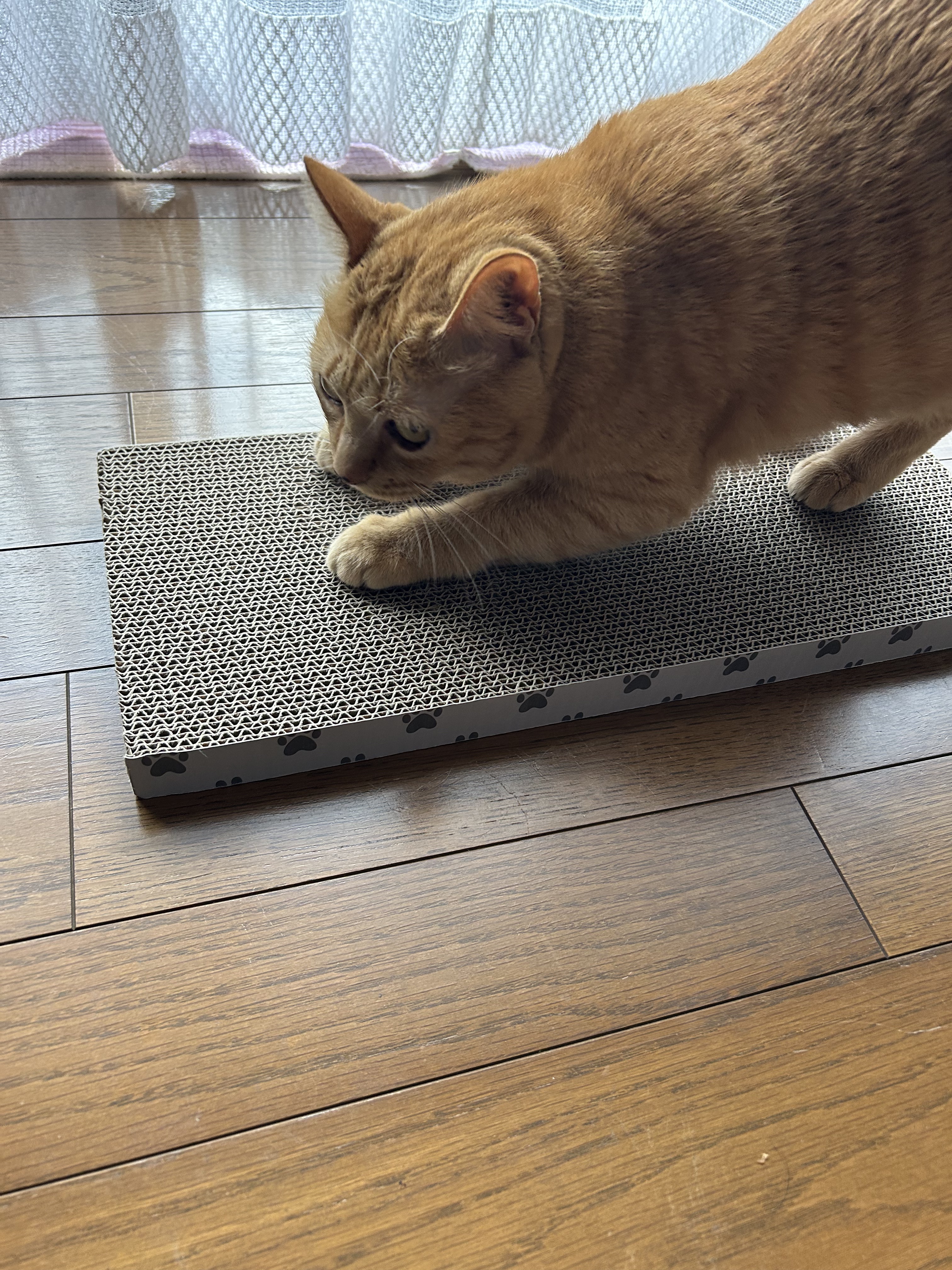 レチノパワー リンクルクリーム /エリクシール/アイケア・アイクリームを使ったクチコミ（3枚目）