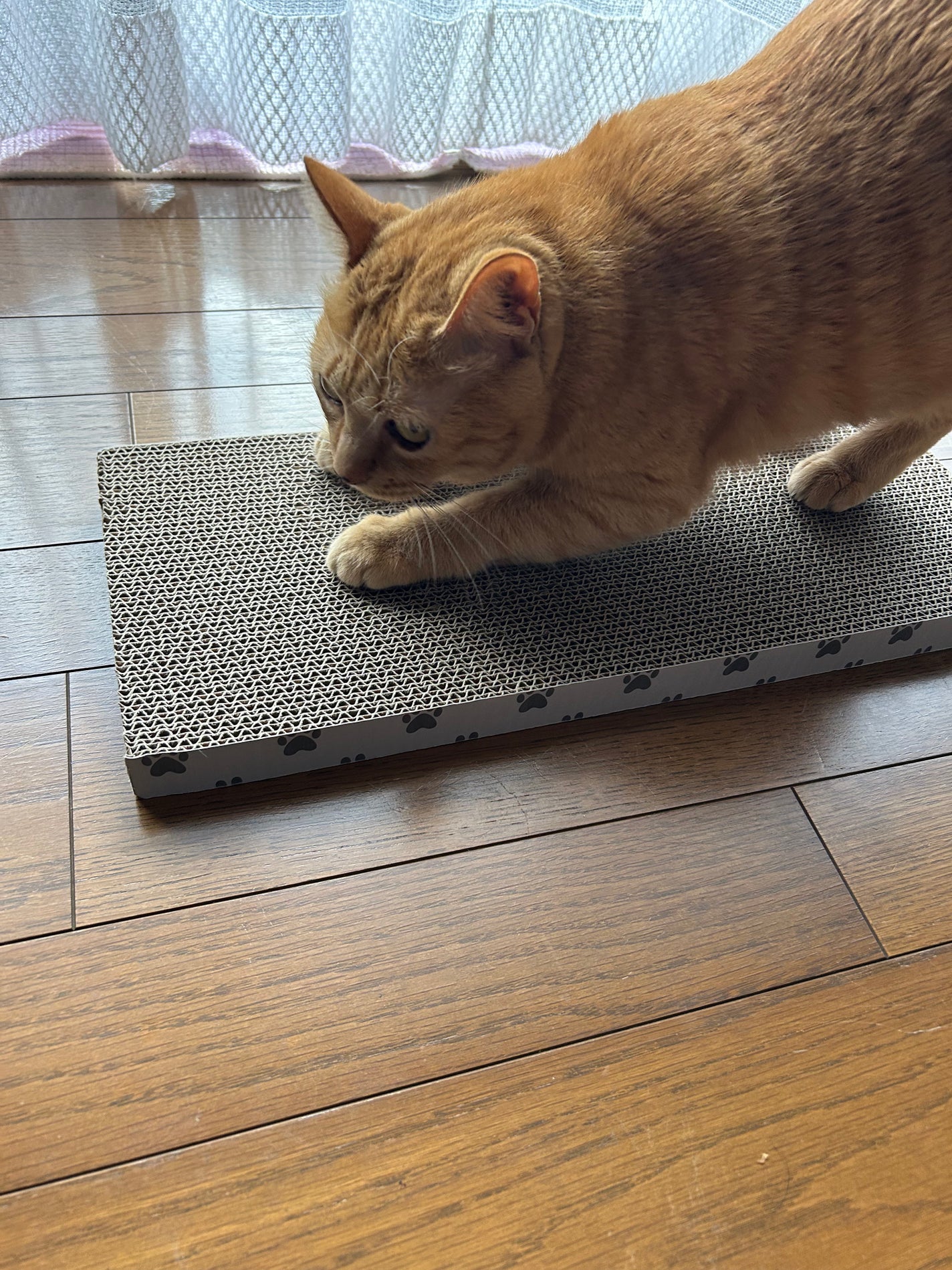 レチノパワー リンクルクリーム /エリクシール/アイケア・アイクリームを使ったクチコミ(3枚目)