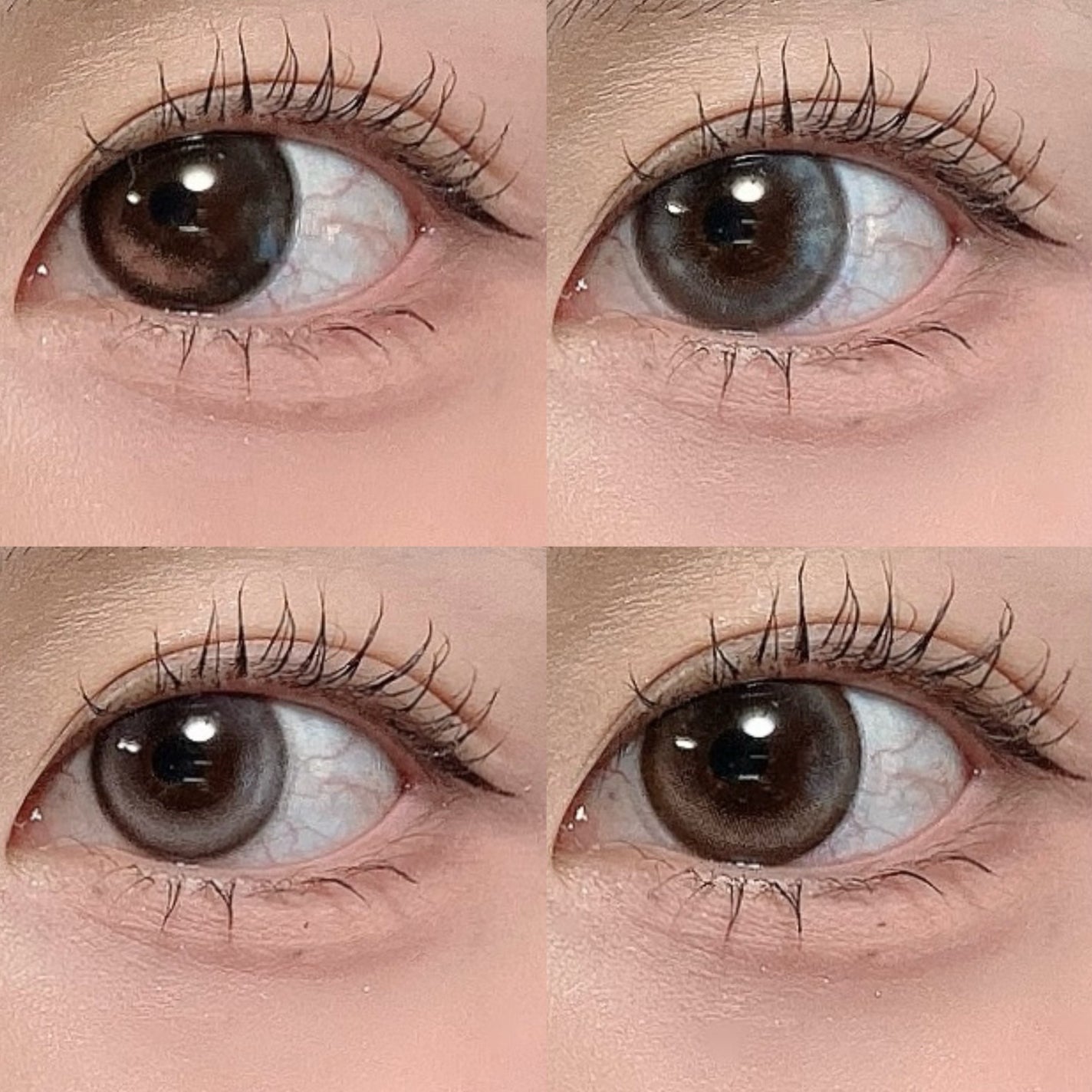 SIE. 1day/SIE./ワンデー(1DAY)カラコンを使ったクチコミ(6枚目)