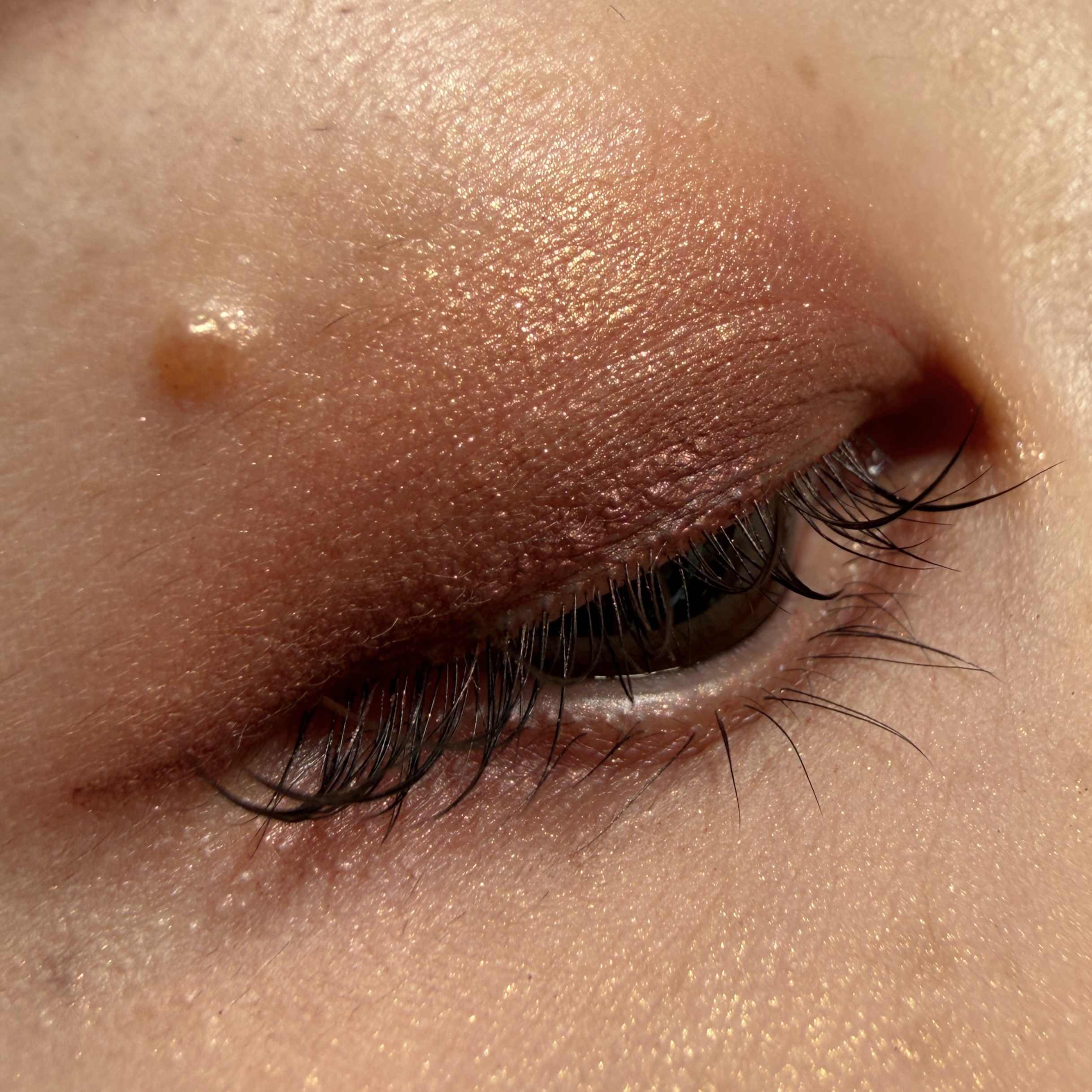 Bloom Collection カスタマイズアイカラー アソート（限定カラー） EX01 キャメルマーブルアソート/マキアージュ/アイシャドウを使ったクチコミ（3枚目）