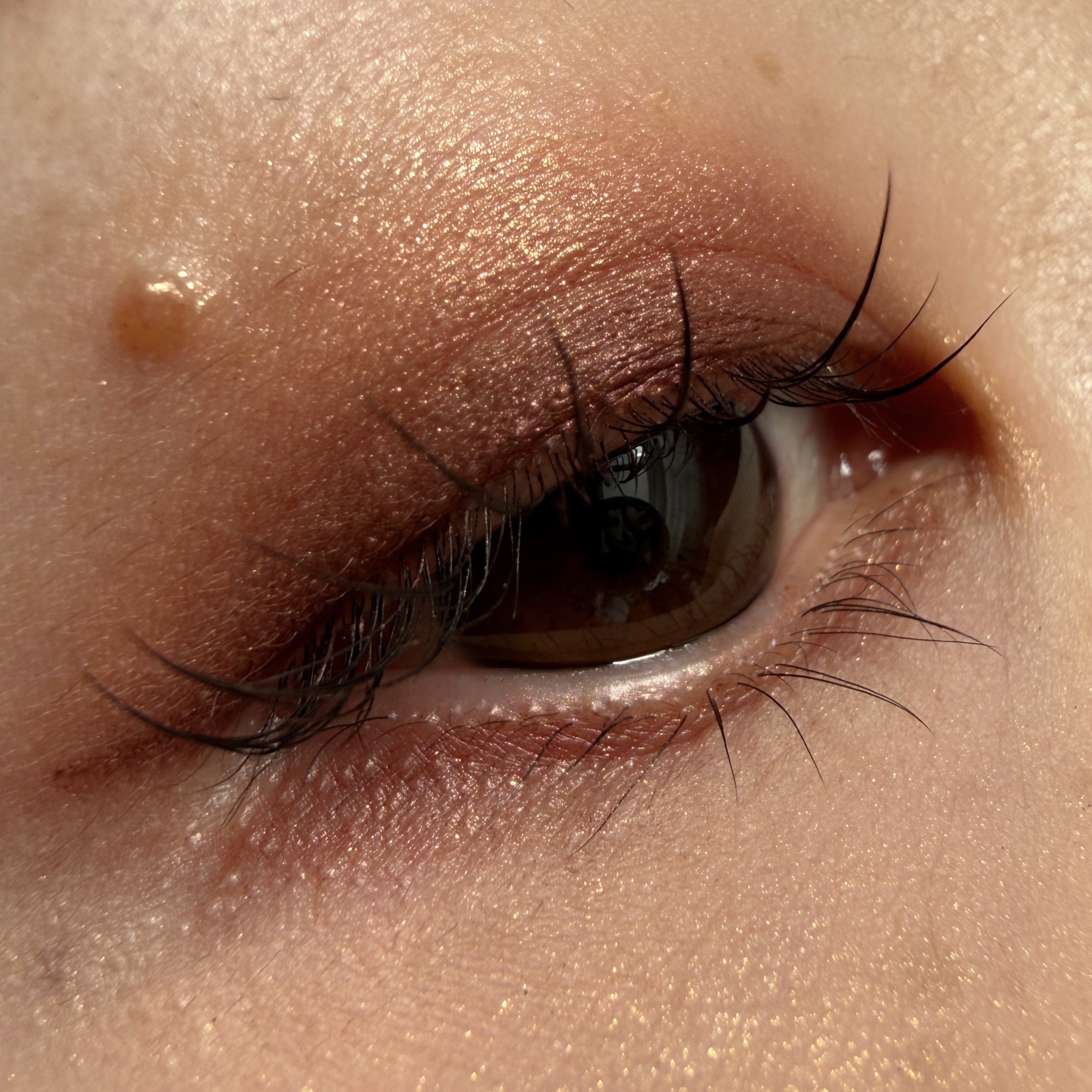 Bloom Collection カスタマイズアイカラー アソート（限定カラー） EX01 キャメルマーブルアソート/マキアージュ/アイシャドウを使ったクチコミ（2枚目）