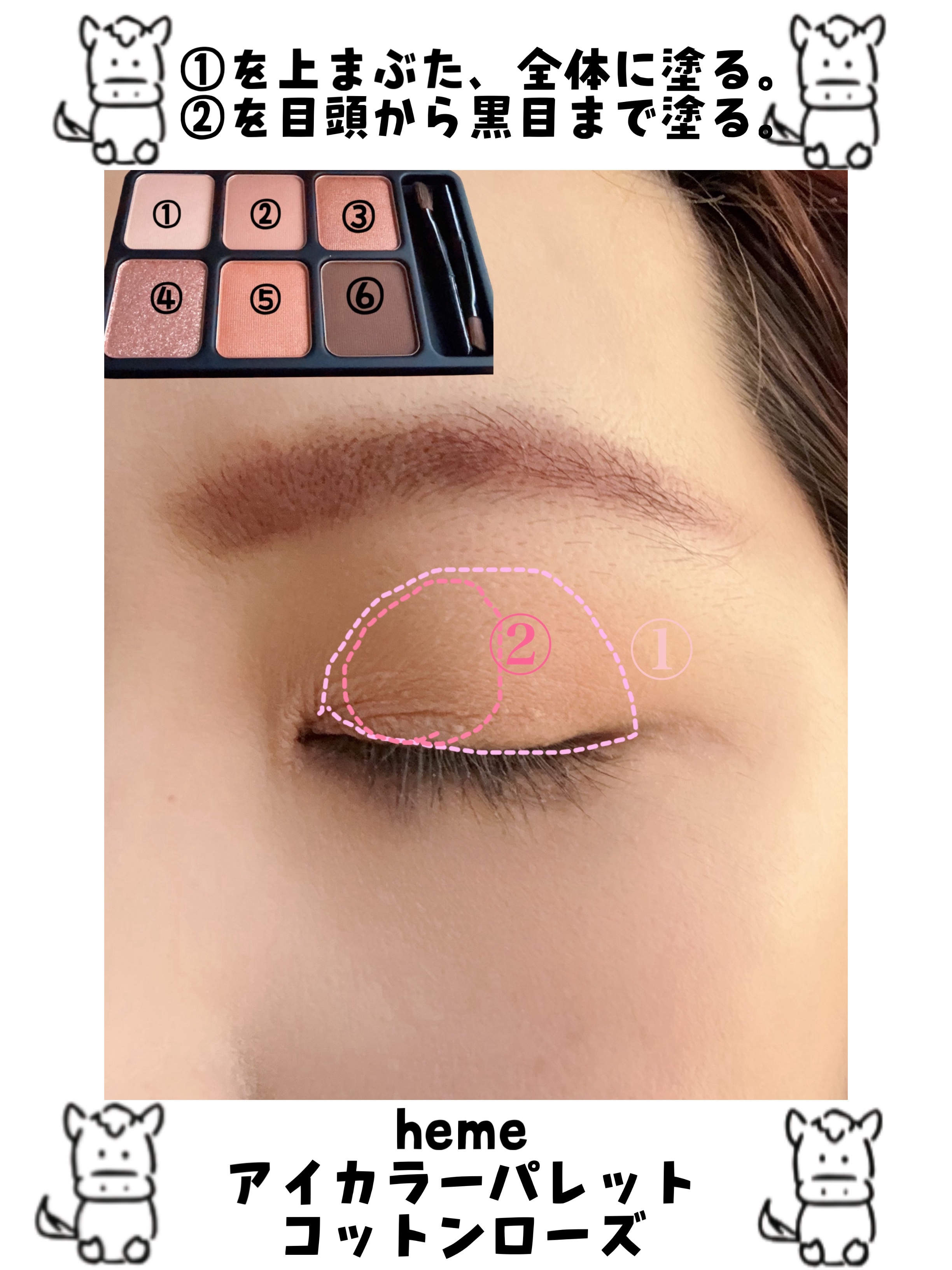 アイカラーパレット コットンローズ/heme/アイシャドウパレットを使ったクチコミ（2枚目）